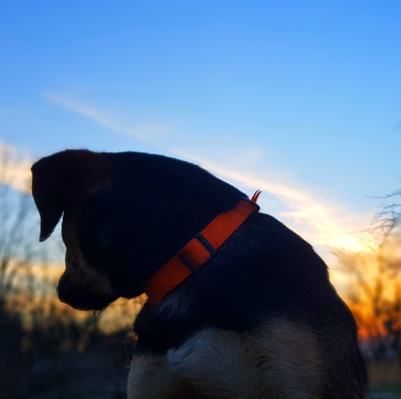 Meet your Posher, Jonathan - Picture 1 of 1